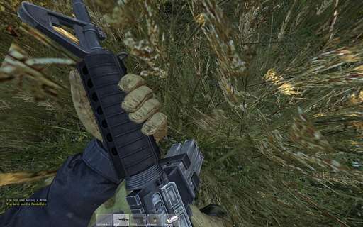 DayZ Standalone - Dayz Standalone: релиз альфы состоялся!